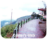 kodaikanal coaker's walk