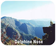 kodaikanal dolphin's nose