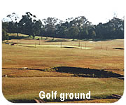 kodaikanal golf ground