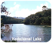 kodaikanal lake