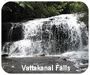 kodaikanal vattakanal falls